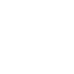 White Logo